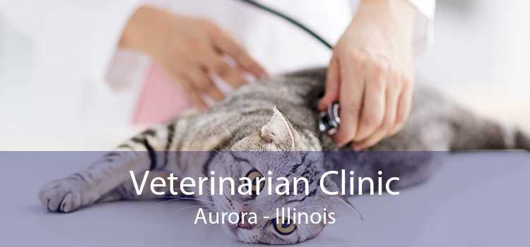 Veterinarian Clinic Aurora - Illinois