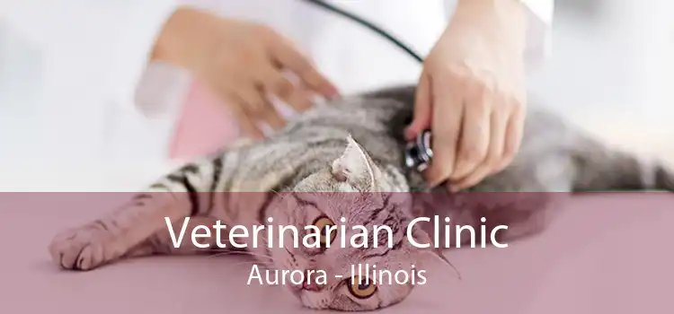 Veterinarian Clinic Aurora - Illinois