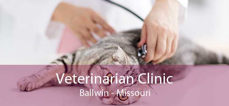Veterinarian Clinic Ballwin - Missouri