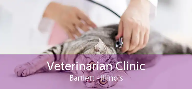 Veterinarian Clinic Bartlett - Illinois