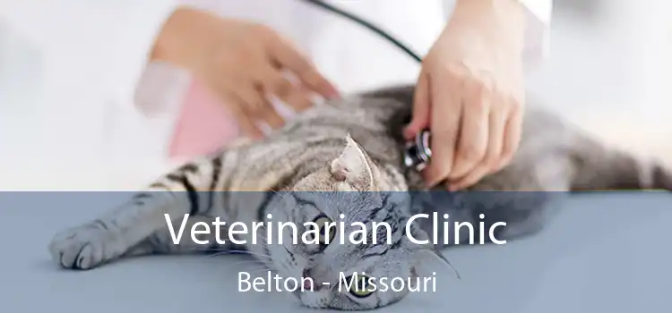 Veterinarian Clinic Belton - Missouri