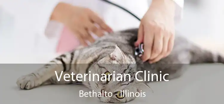 Veterinarian Clinic Bethalto - Illinois