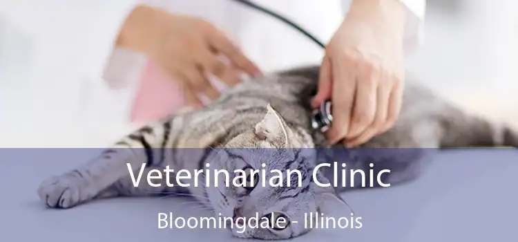 Veterinarian Clinic Bloomingdale - Illinois