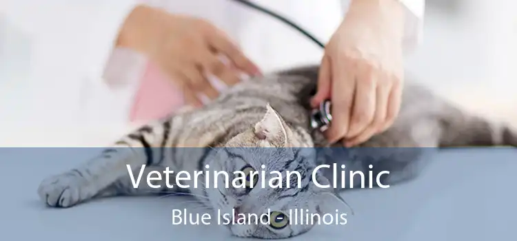 Veterinarian Clinic Blue Island - Illinois