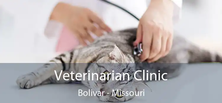 Veterinarian Clinic Bolivar - Missouri