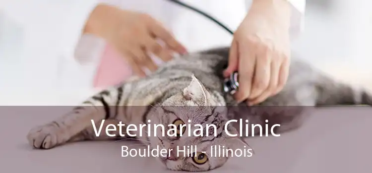 Veterinarian Clinic Boulder Hill - Illinois