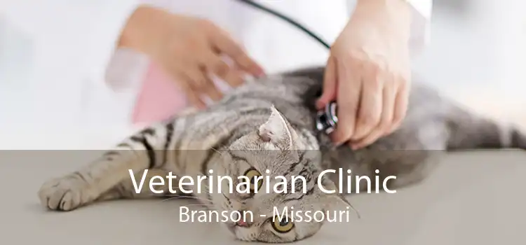 Veterinarian Clinic Branson - Missouri
