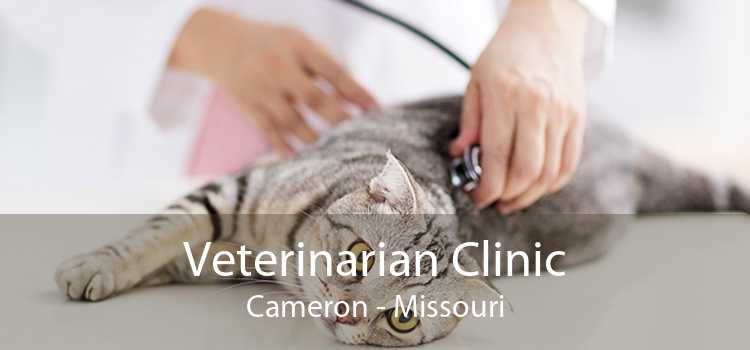 Veterinarian Clinic Cameron - Missouri