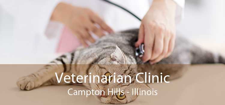 Veterinarian Clinic Campton Hills - Illinois