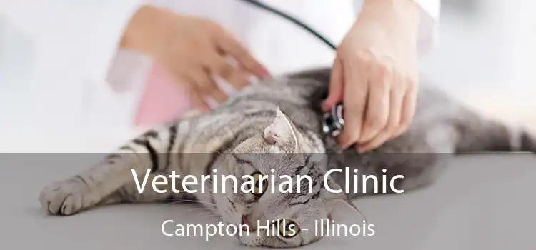 Veterinarian Clinic Campton Hills - Illinois