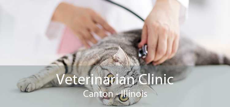 Veterinarian Clinic Canton - Illinois