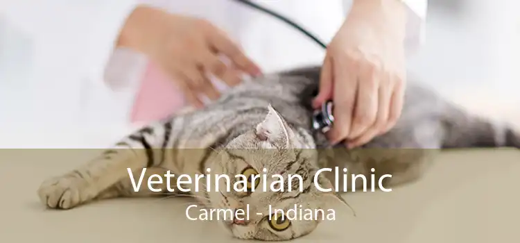Veterinarian Clinic Carmel - Indiana