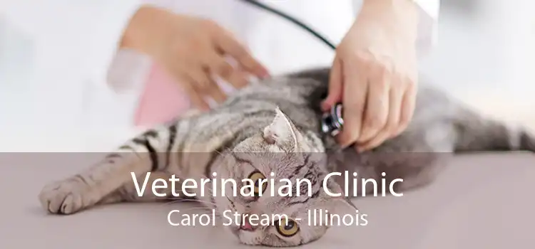 Veterinarian Clinic Carol Stream - Illinois