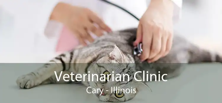 Veterinarian Clinic Cary - Illinois
