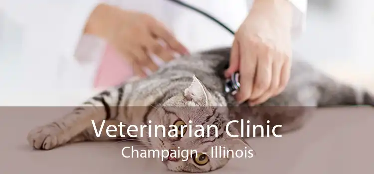 Veterinarian Clinic Champaign - Illinois