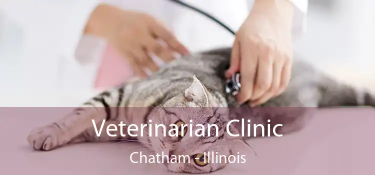 Veterinarian Clinic Chatham - Illinois