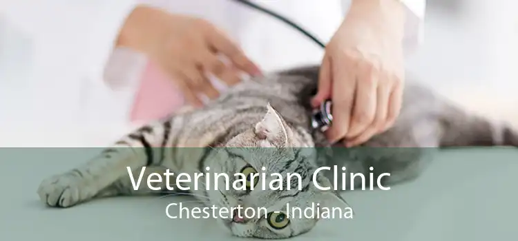 Veterinarian Clinic Chesterton - Indiana