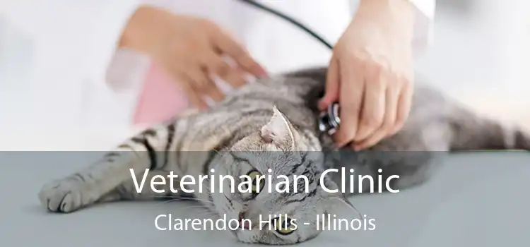 Veterinarian Clinic Clarendon Hills - Illinois