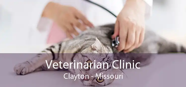 Veterinarian Clinic Clayton - Missouri