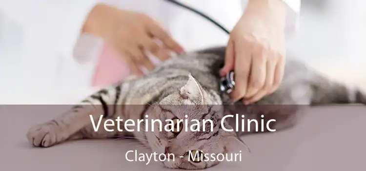 Veterinarian Clinic Clayton - Missouri