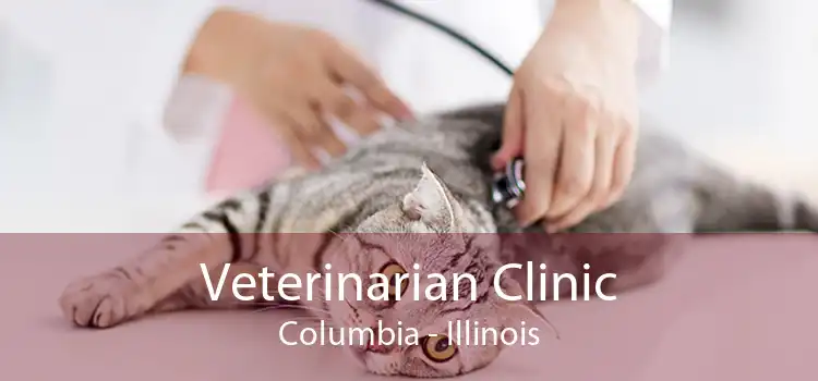 Veterinarian Clinic Columbia - Illinois