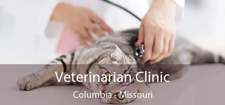 Veterinarian Clinic Columbia - Missouri