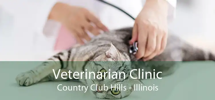 Veterinarian Clinic Country Club Hills - Illinois
