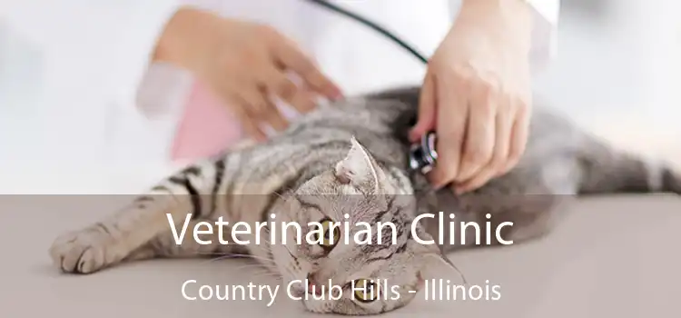 Veterinarian Clinic Country Club Hills - Illinois