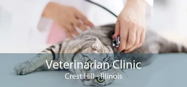 Veterinarian Clinic Crest Hill - Illinois