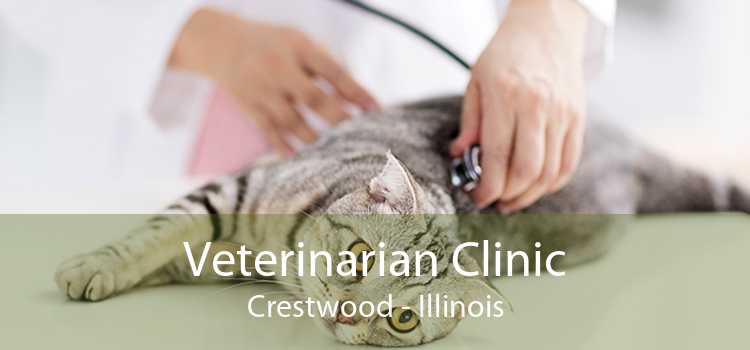 Veterinarian Clinic Crestwood - Illinois