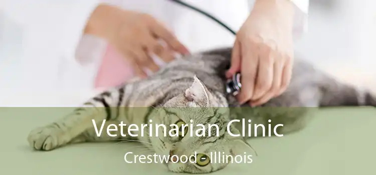 Veterinarian Clinic Crestwood - Illinois