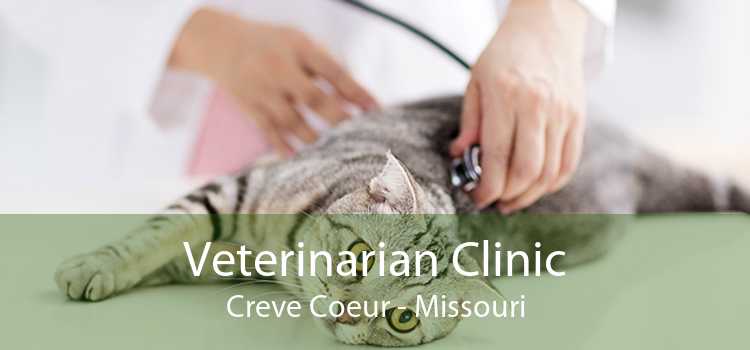 Veterinarian Clinic Creve Coeur - Missouri