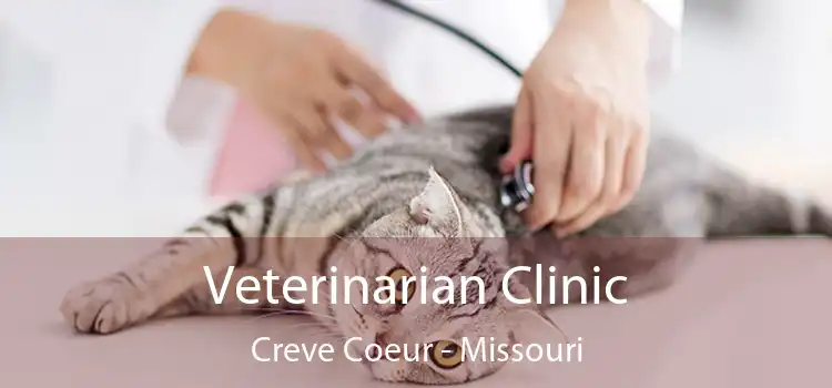 Veterinarian Clinic Creve Coeur - Missouri