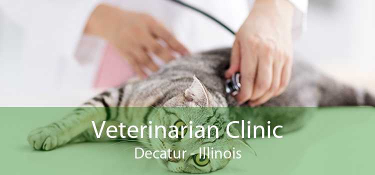 Veterinarian Clinic Decatur - Illinois