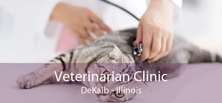 Veterinarian Clinic DeKalb - Illinois