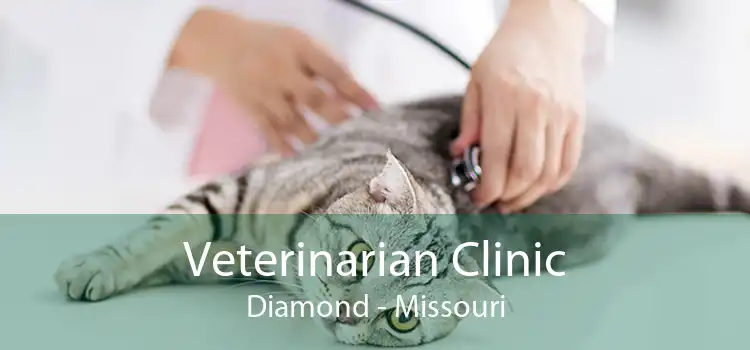 Veterinarian Clinic Diamond - Missouri
