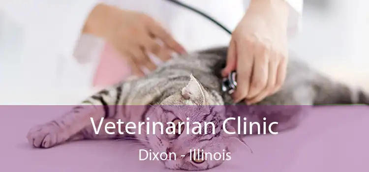 Veterinarian Clinic Dixon - Illinois