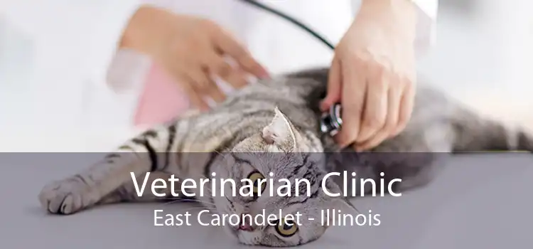Veterinarian Clinic East Carondelet - Illinois