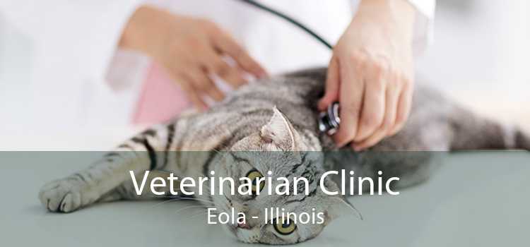 Veterinarian Clinic Eola - Illinois