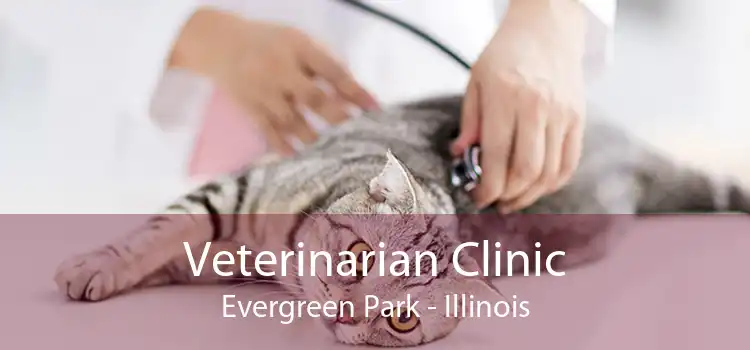 Veterinarian Clinic Evergreen Park - Illinois