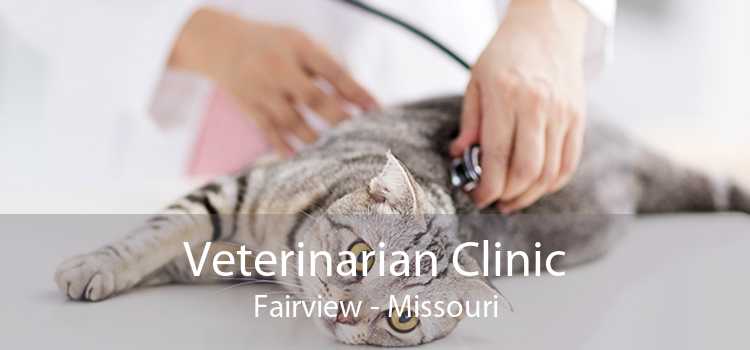 Veterinarian Clinic Fairview - Missouri