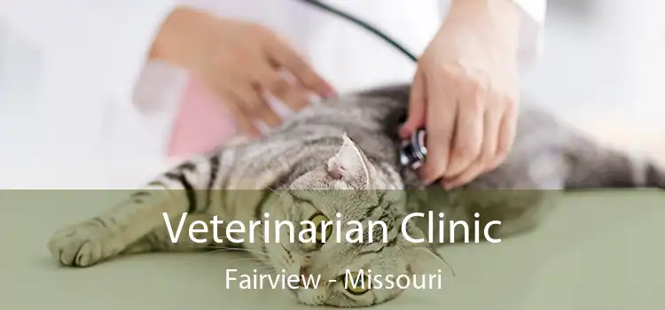 Veterinarian Clinic Fairview - Missouri