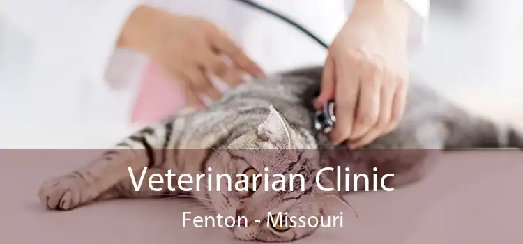 Veterinarian Clinic Fenton - Missouri