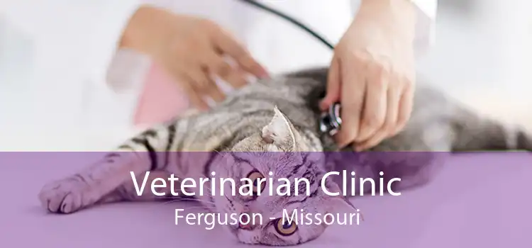 Veterinarian Clinic Ferguson - Missouri
