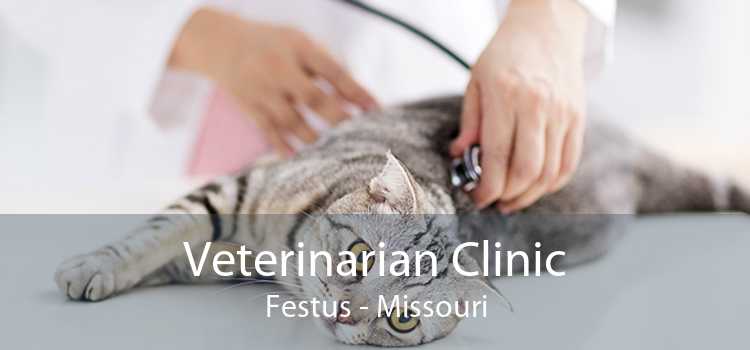 Veterinarian Clinic Festus - Missouri