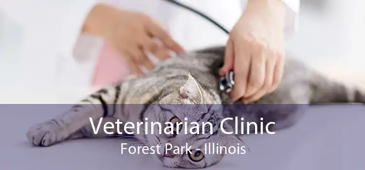 Veterinarian Clinic Forest Park - Illinois
