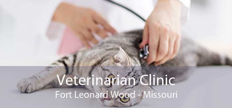 Veterinarian Clinic Fort Leonard Wood - Missouri