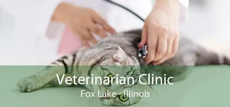 Veterinarian Clinic Fox Lake - Illinois