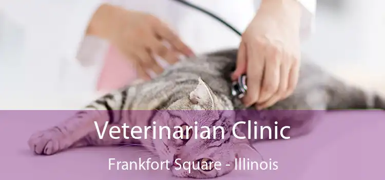 Veterinarian Clinic Frankfort Square - Illinois