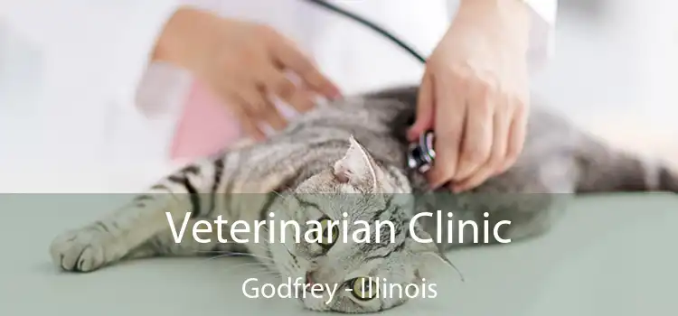 Veterinarian Clinic Godfrey - Illinois